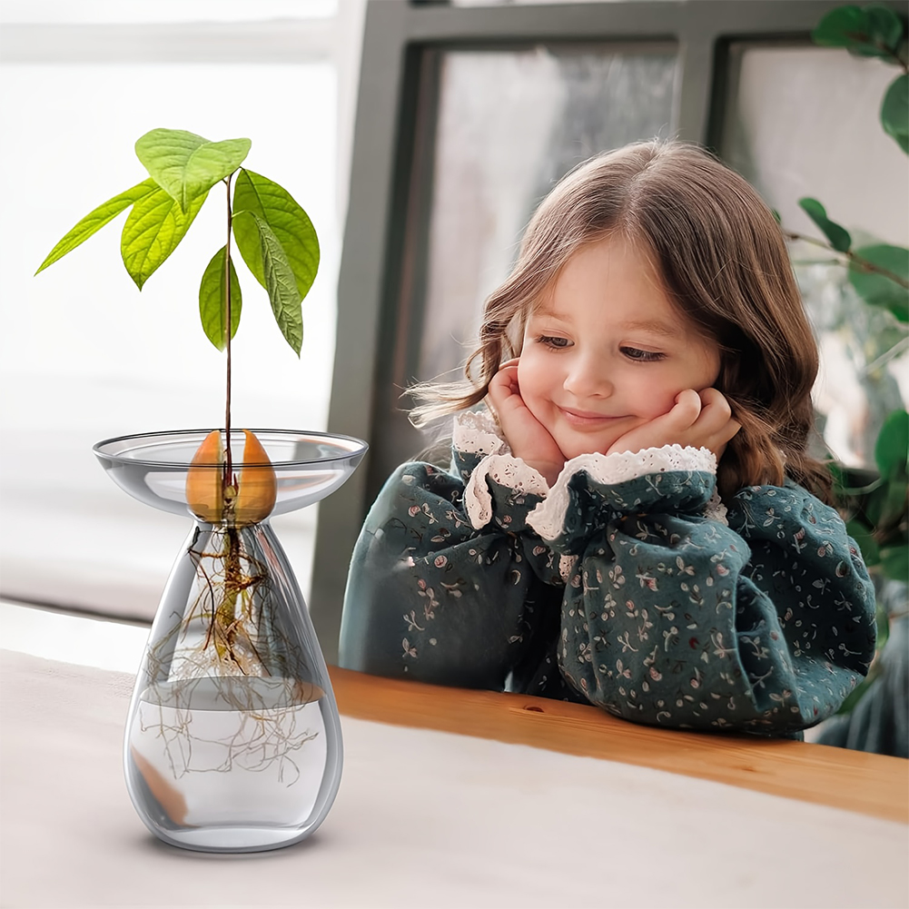 Avocado Seed Starter Vase Tran - Propagation Station Vase reseña y precio
