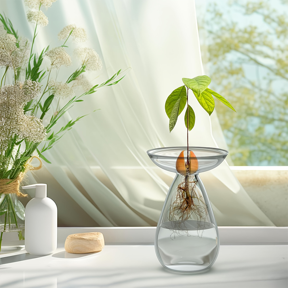 Avocado Seed Starter Vase Tran - Propagation Station Vase reseña y precio