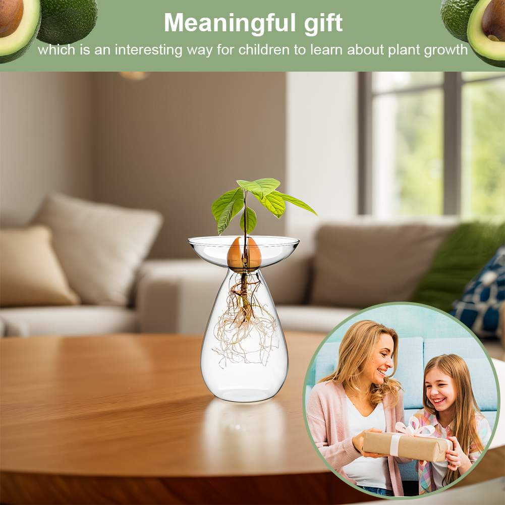 Avocado Seed Starter Vase Tran - Propagation Station Vase reseña y precio