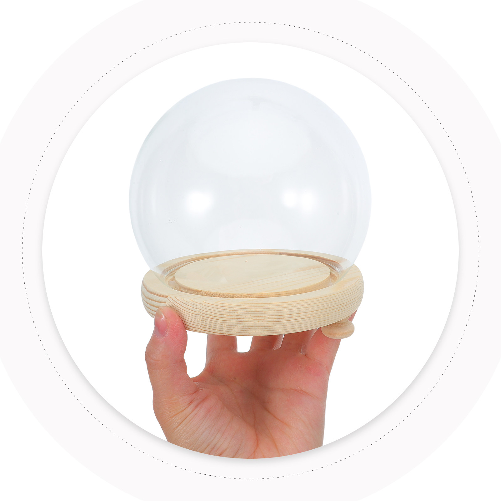 Preserved Flower Glass Dome El - Plastic Dome Clear reseña y precio