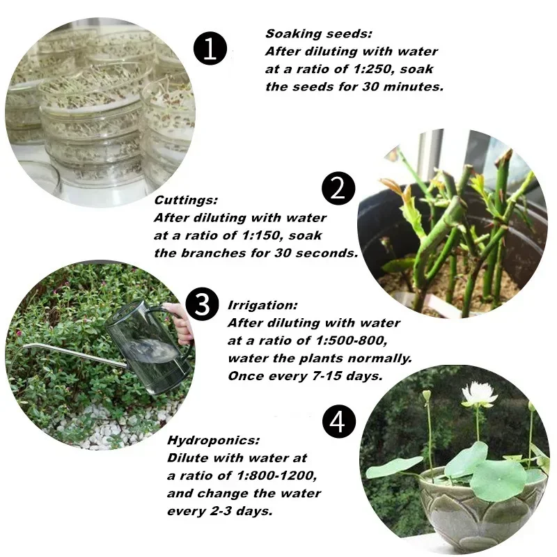 10g Quickly Rooting Powder Hor - Rooting Hormone Powder reseña y precio