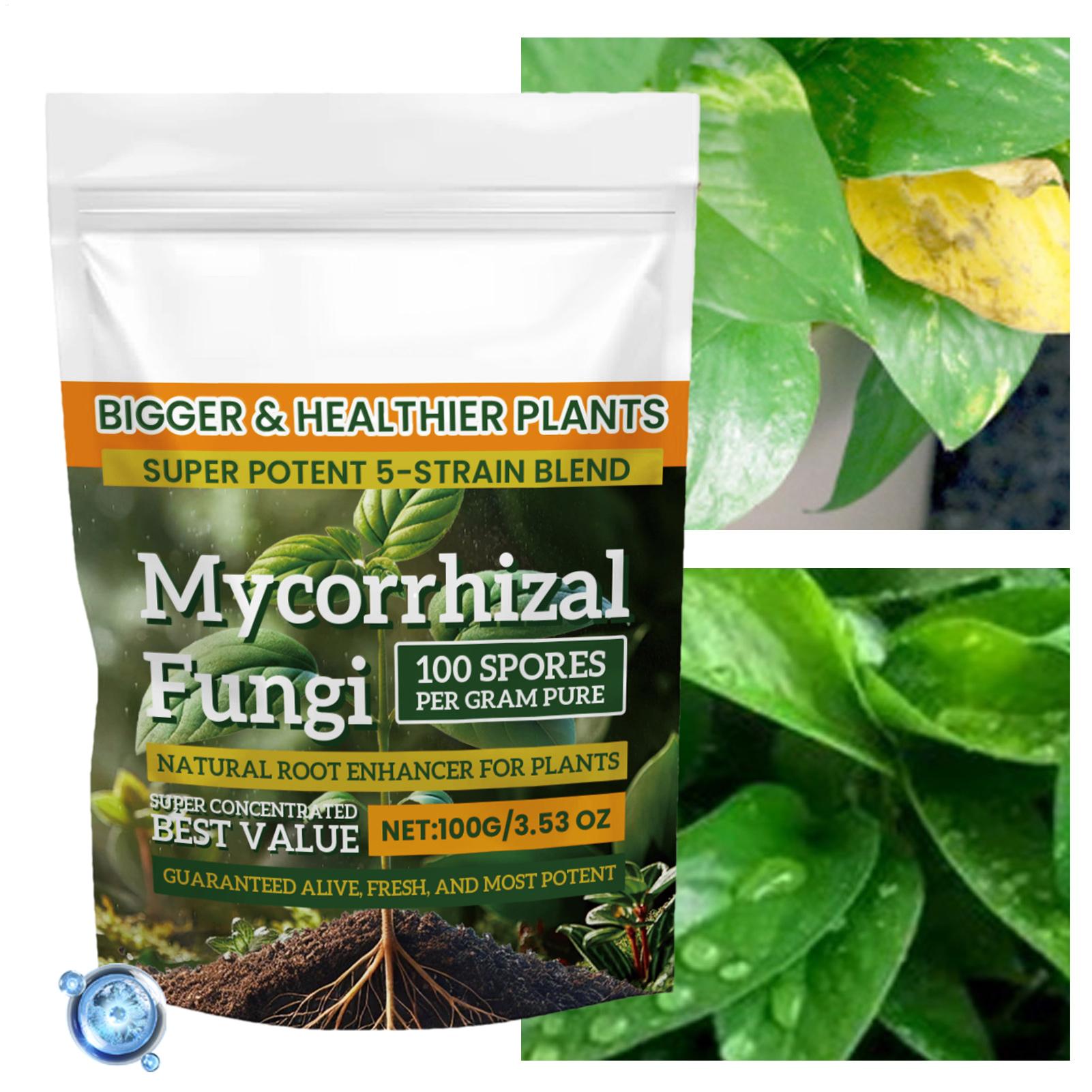 Plant Growth Enhancer Powder 1 - Rooting Hormone Powder reseña y precio