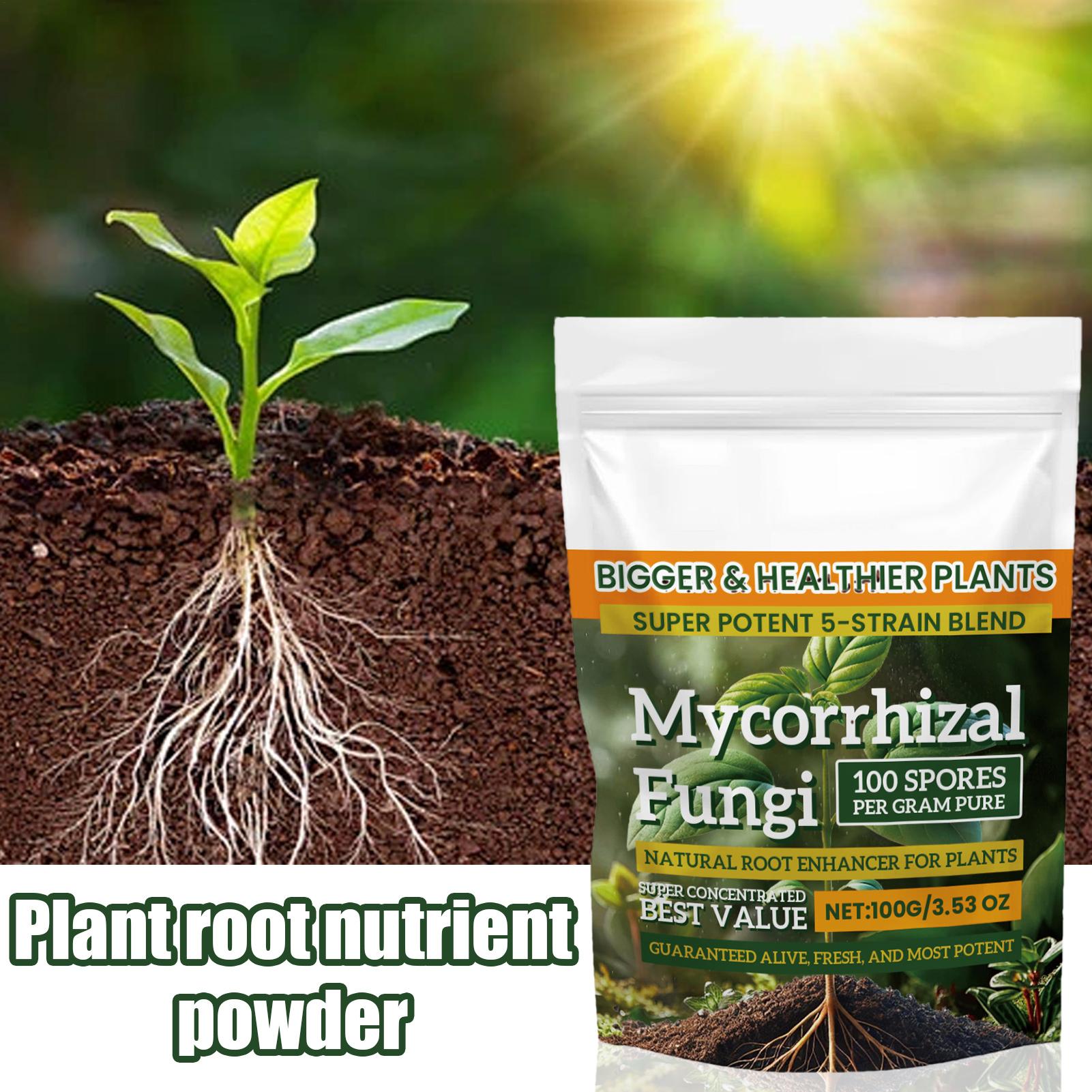 Plant Growth Enhancer Powder 1 - Rooting Hormone Powder reseña y precio