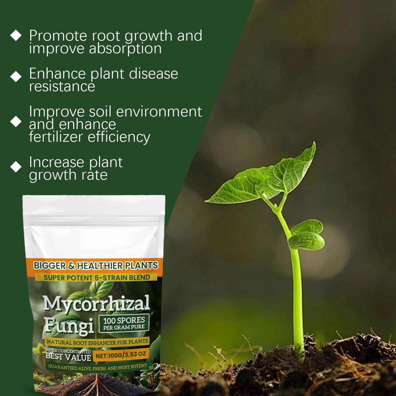 Plant Growth Enhancer Powder 1 - Rooting Hormone Powder reseña y precio