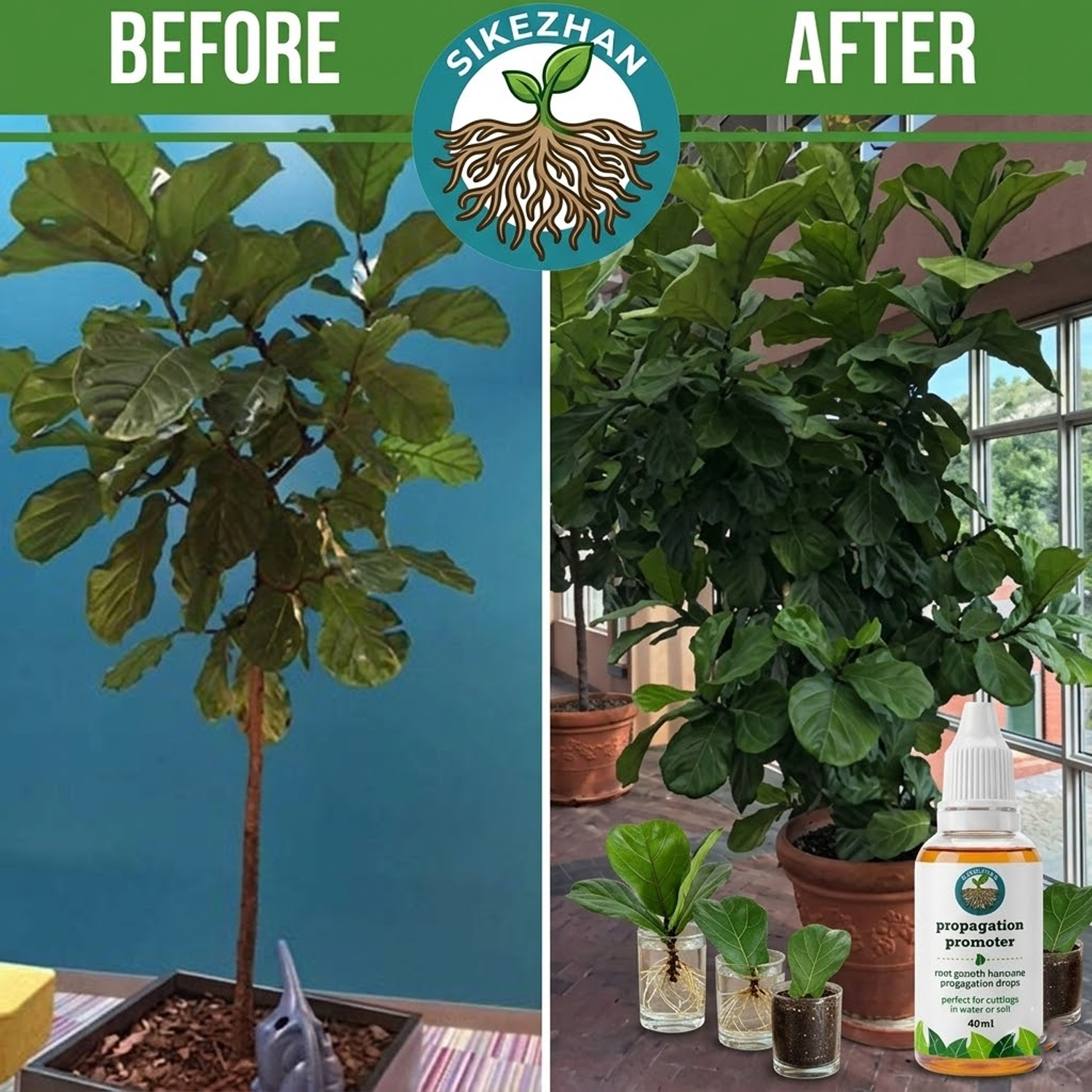 40ml Fast Plant Rooting Liquid - Root Stimulator Liquid reseña y precio