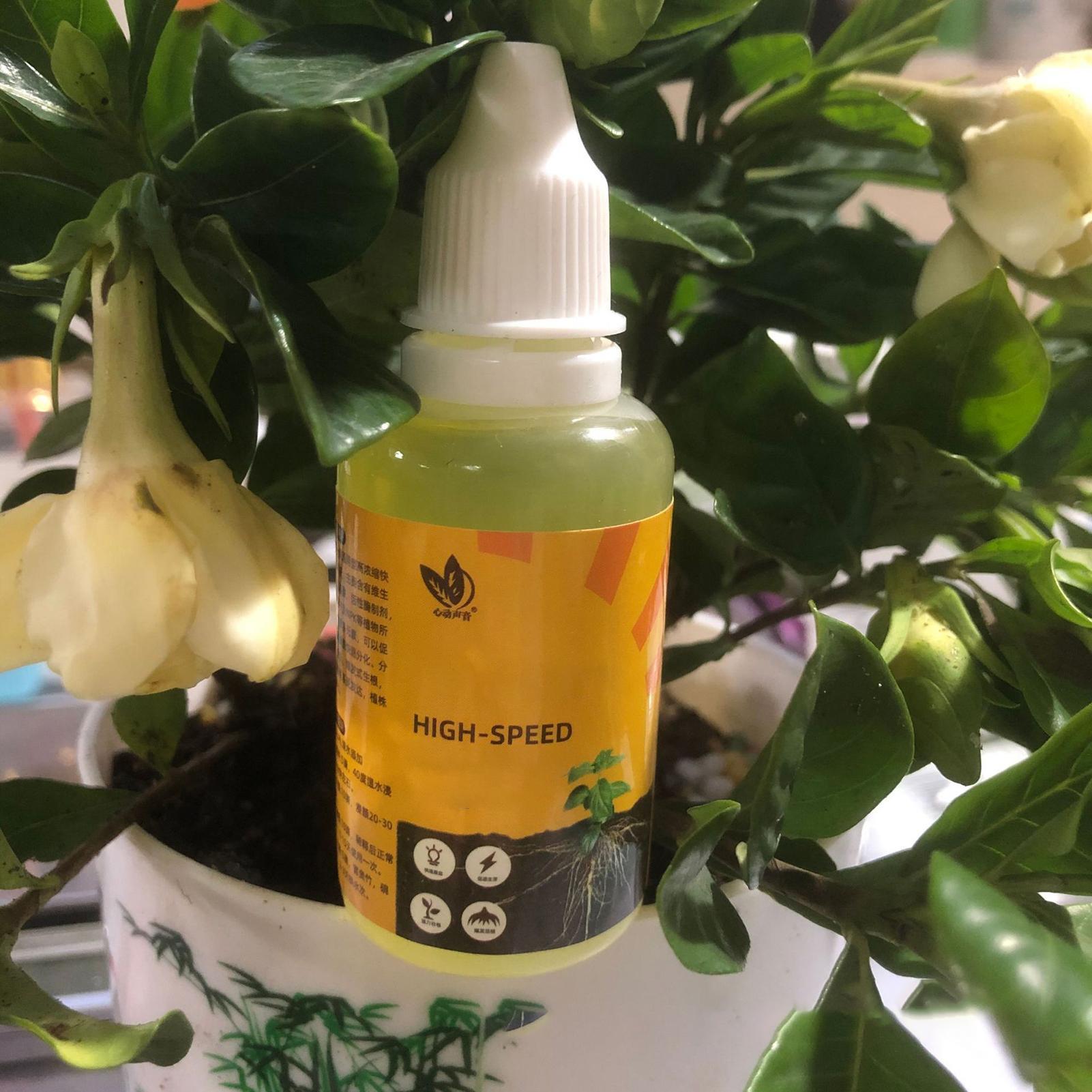Plant Rapid Rooting Solution 5 - Root Stimulator Liquid reseña y precio