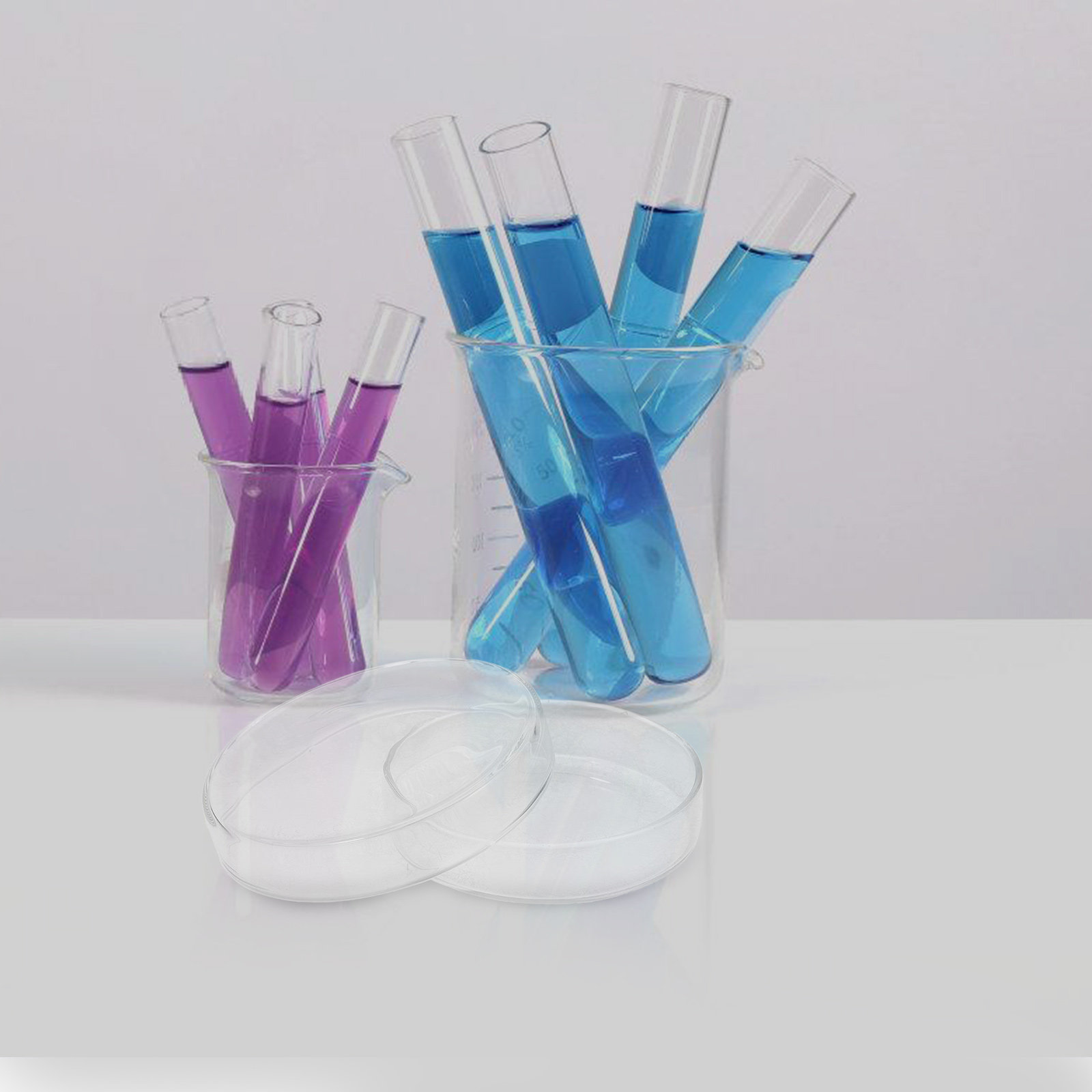 Glass Petri Dish High Borosili - Agar Tissue Culture reseña y precio
