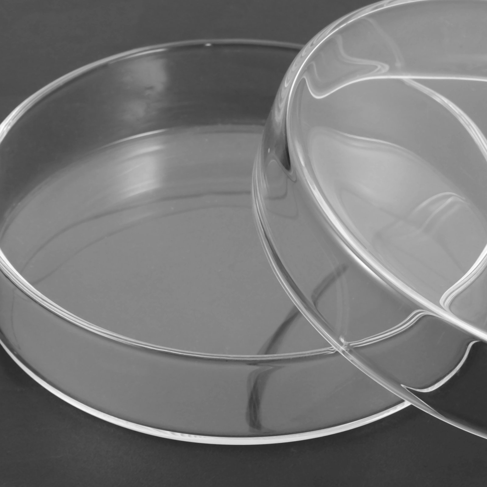 Glass Petri Dish High Borosili - Agar Tissue Culture reseña y precio