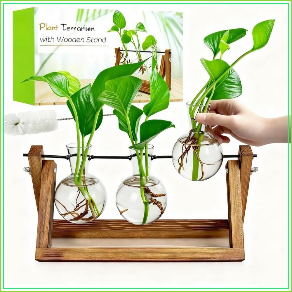Plant Propagation Station with - Propagation Station Vase reseña y precio