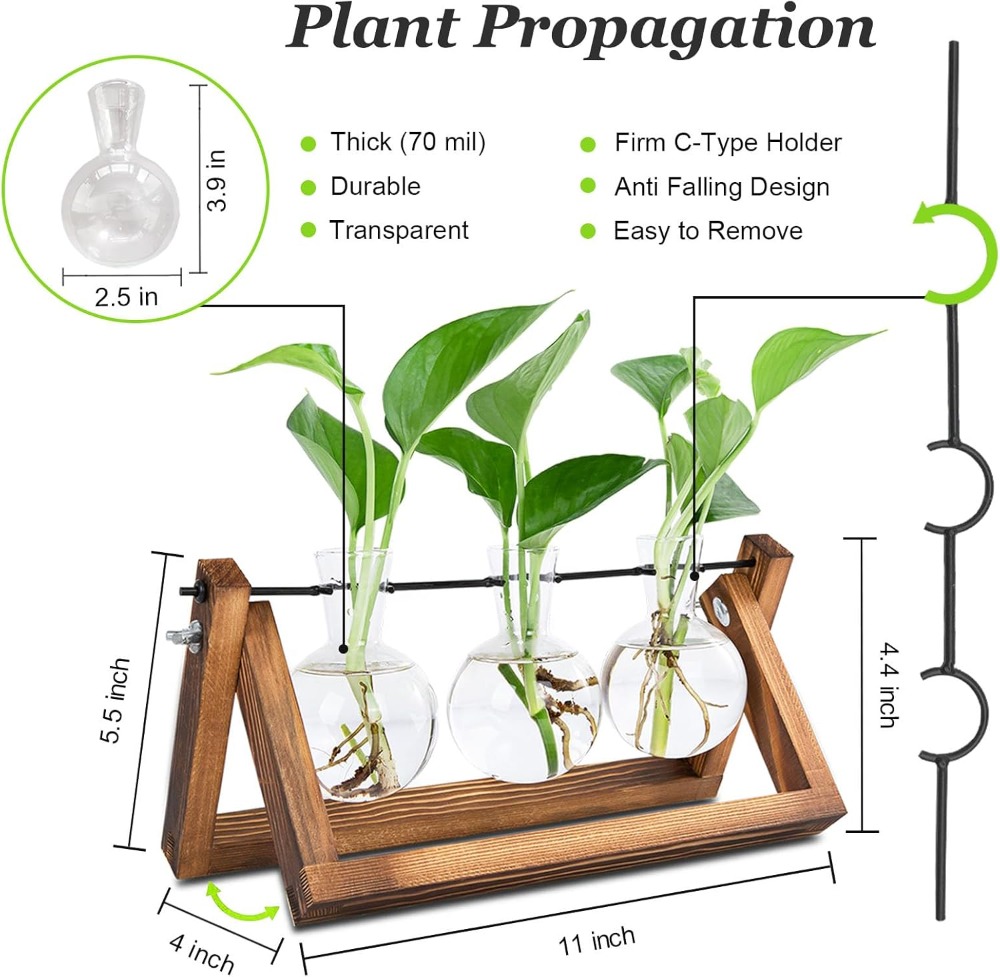 Plant Propagation Station with - Propagation Station Vase reseña y precio
