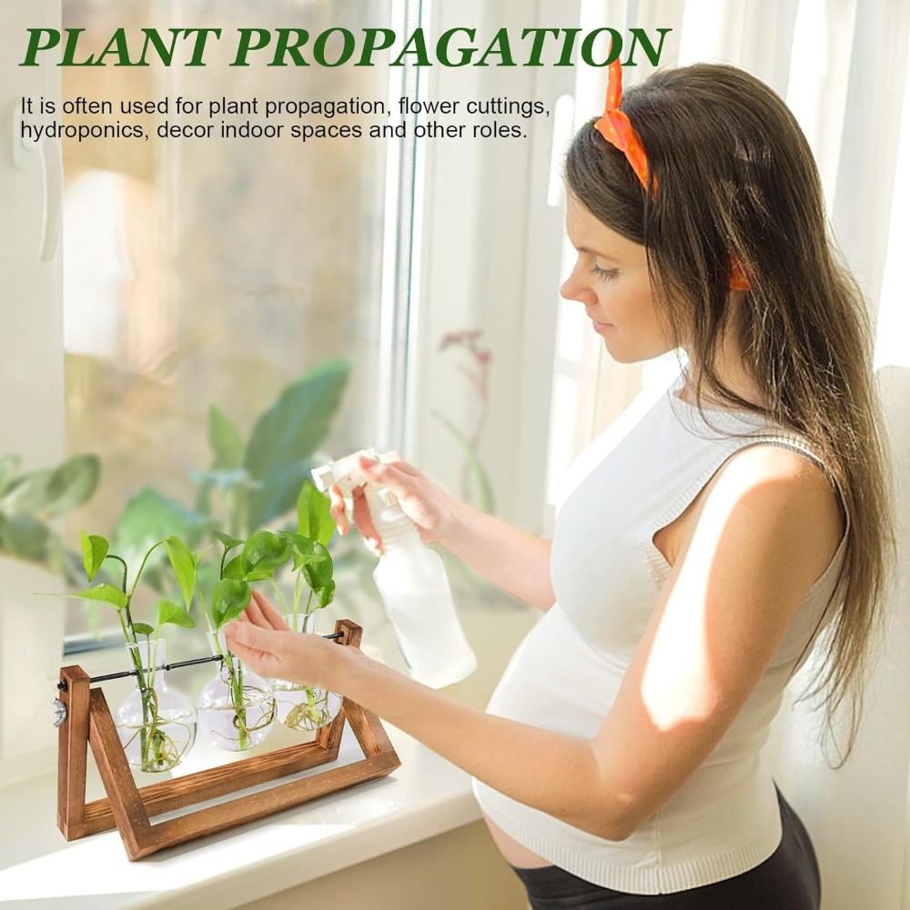 Plant Propagation Station with - Propagation Station Vase reseña y precio
