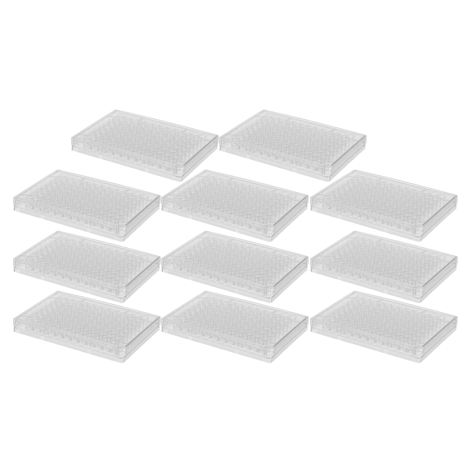 10Pcs Cell Culture Plates Tran - Agar Tissue Culture reseña y precio