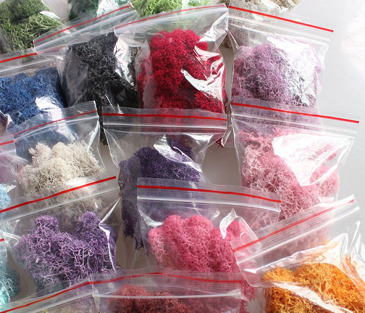 Colorful DIY Home Decor Christ - Sphagnum Moss Dry reseña y precio