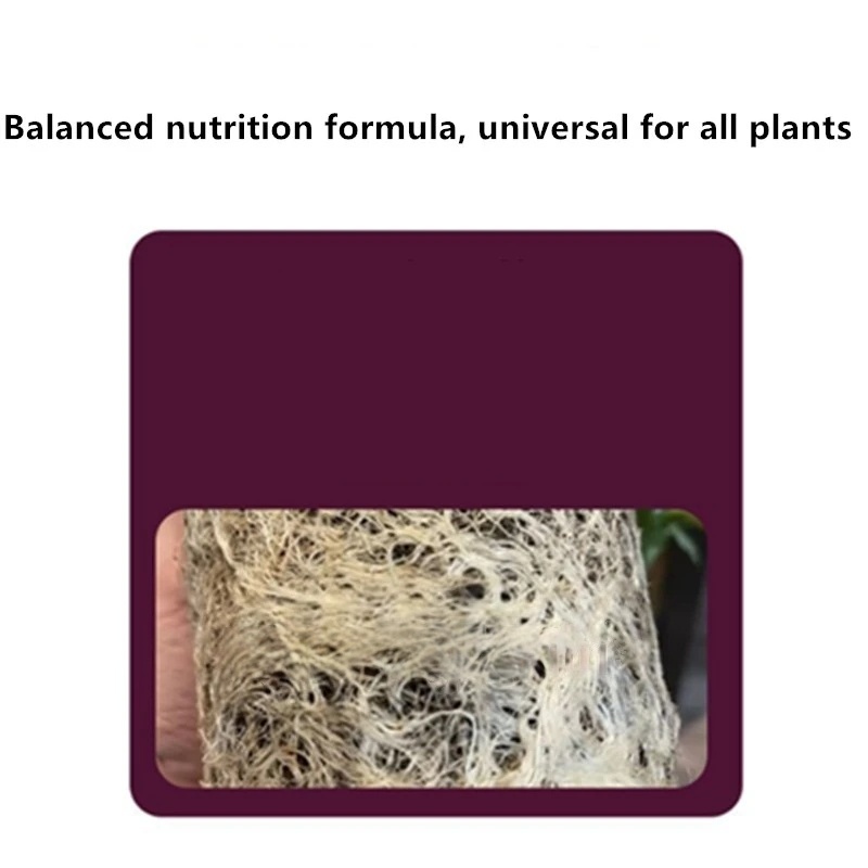 2bags Rooting Hormone Powder U - Rooting Hormone Powder reseña y precio