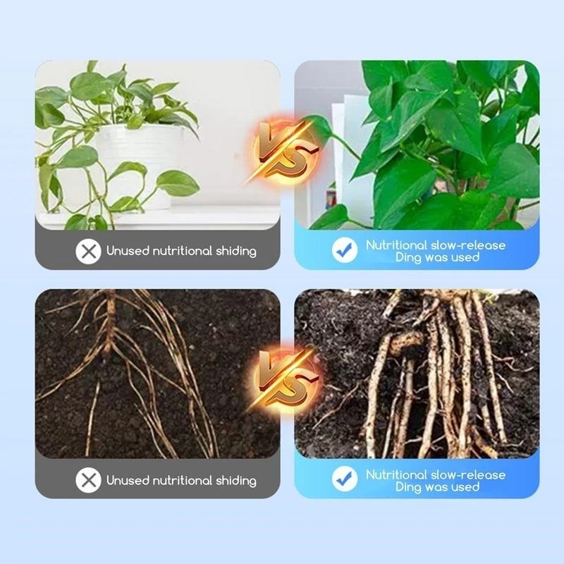 500g High-strength Rooting Hor - Rooting Hormone Powder reseña y precio