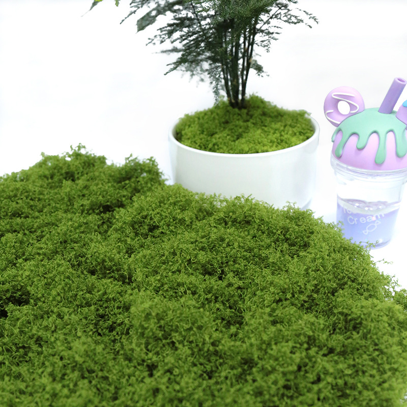 【P】50g Fake Moss DIY Crafts Gr - Sphagnum Moss Dry reseña y precio