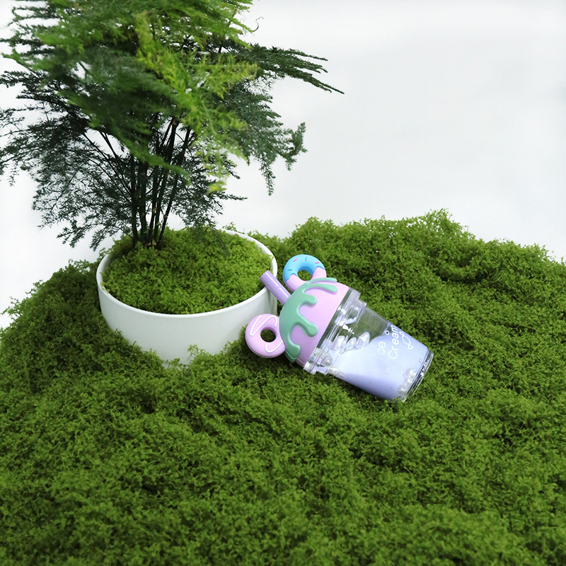 【P】50g Fake Moss DIY Crafts Gr - Sphagnum Moss Dry reseña y precio