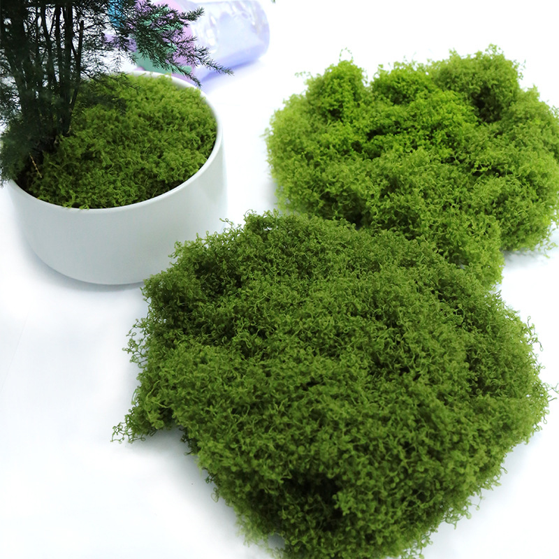 【P】50g Fake Moss DIY Crafts Gr - Sphagnum Moss Dry reseña y precio