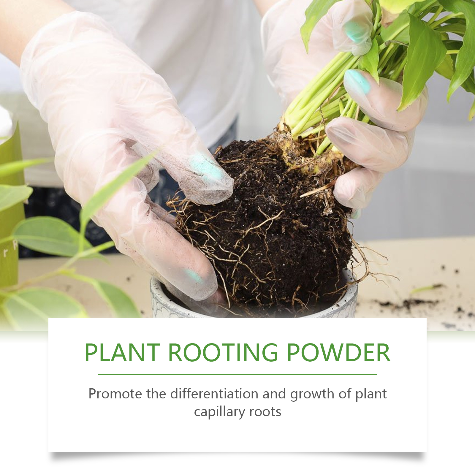 100g Plant Rooting Powder for  - Rooting Hormone Powder reseña y precio