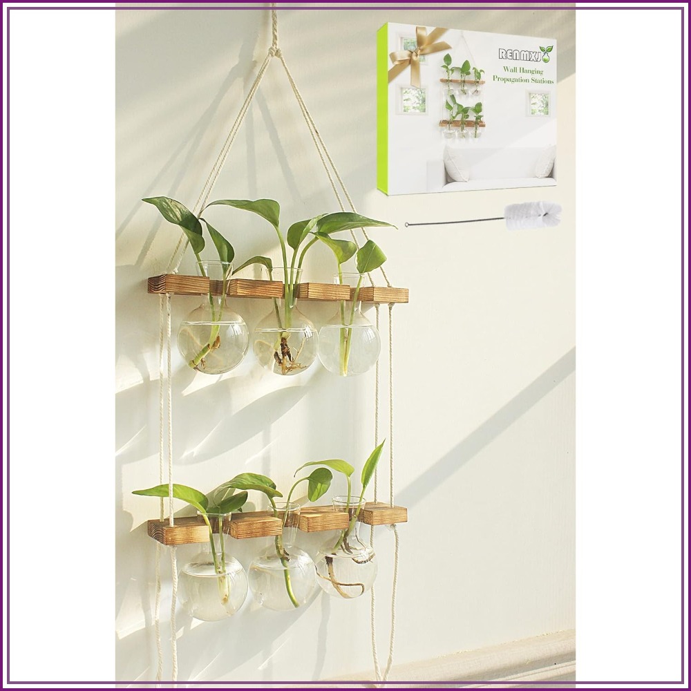 Wall Hanging Plant Propagation - Propagation Station Vase reseña y precio