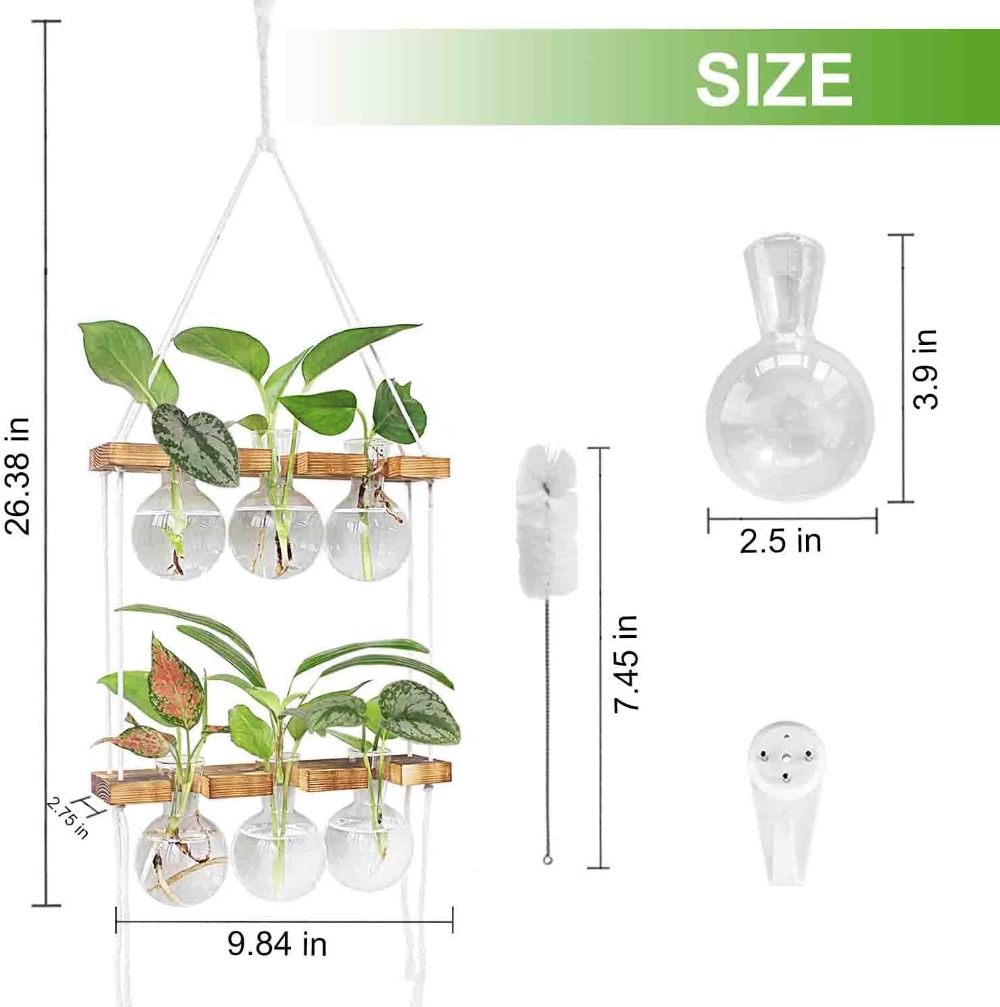 Wall Hanging Plant Propagation - Propagation Station Vase reseña y precio
