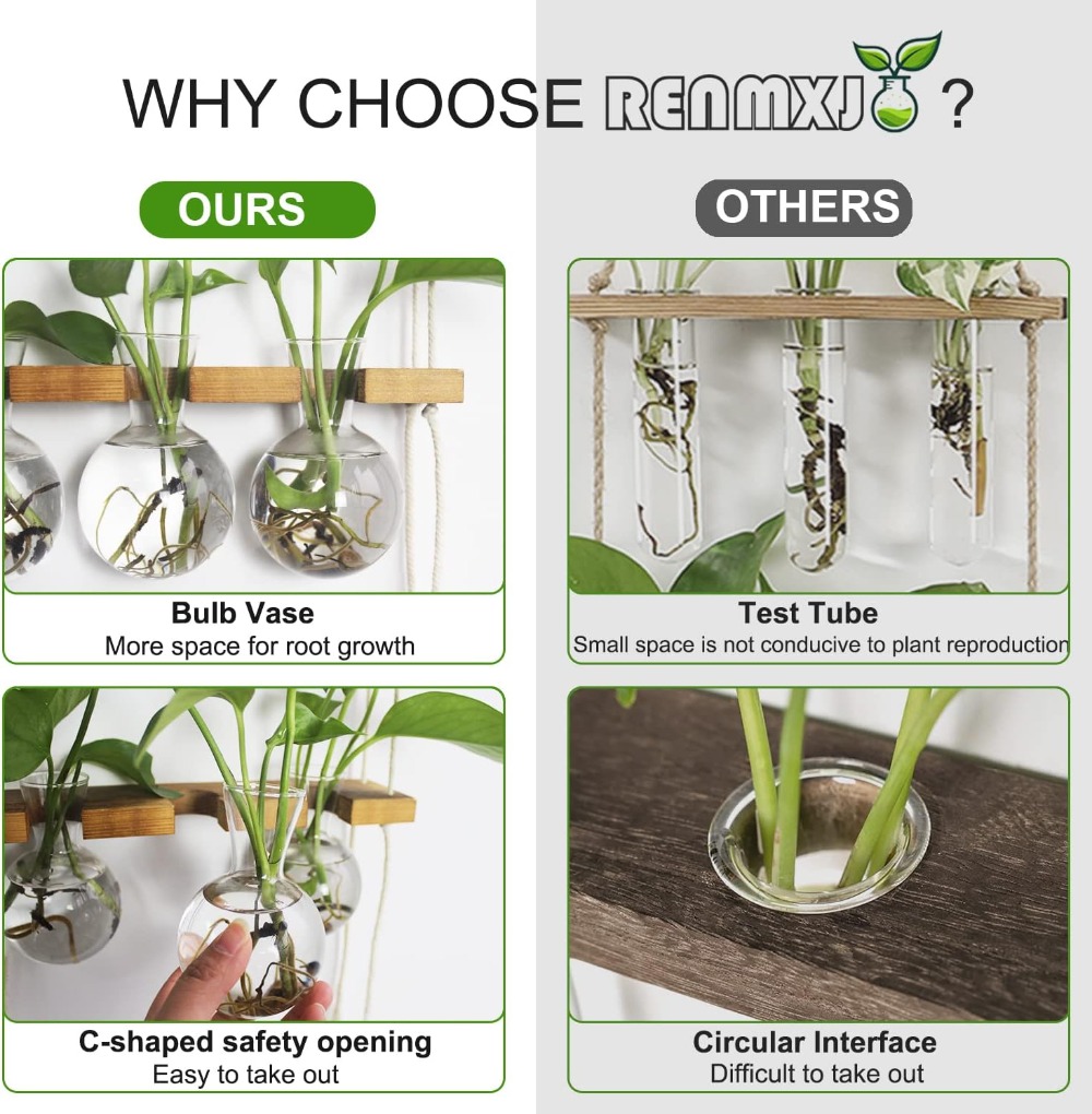 Wall Hanging Plant Propagation - Propagation Station Vase reseña y precio