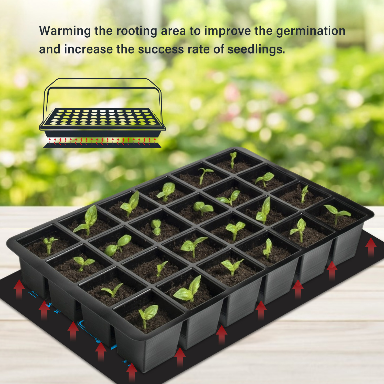 20.75x10CM EU/US/UK/AU Plug Se - Heat Mat Seedling reseña y precio