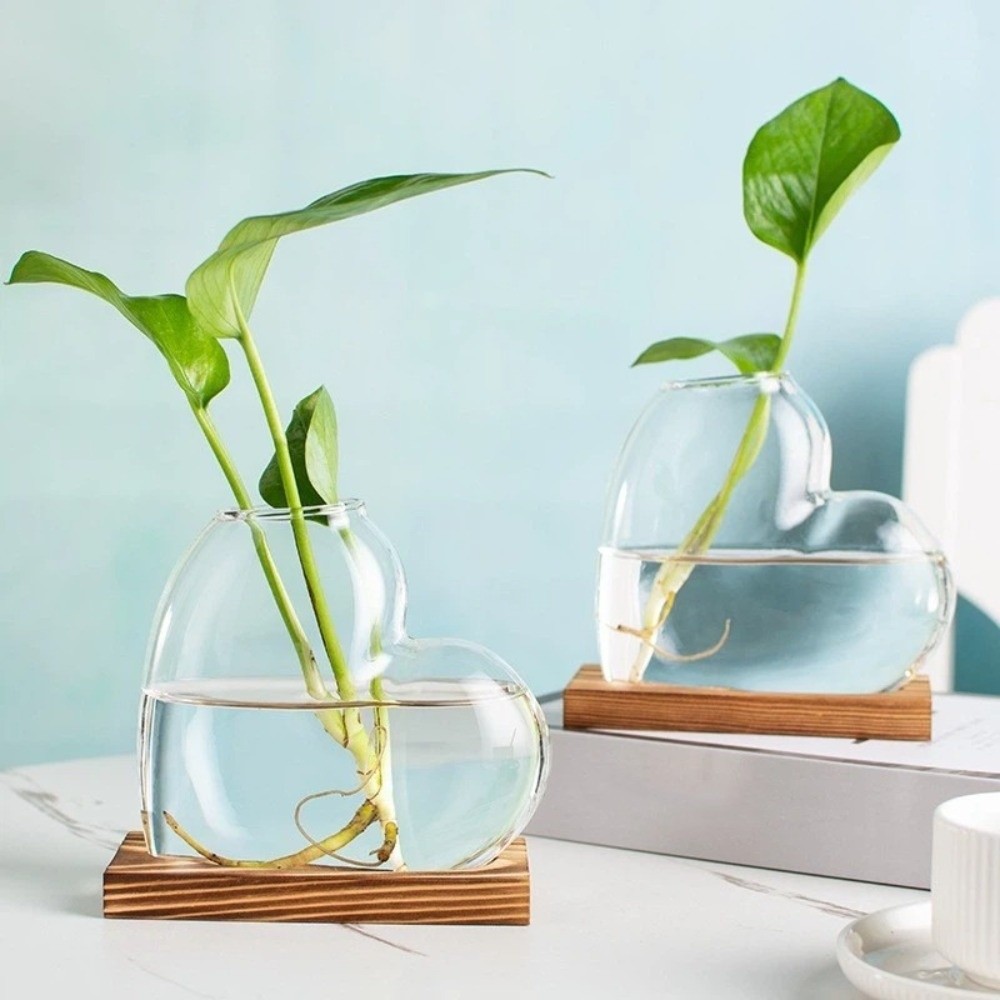 Transparent Hydroponic Glass V - Propagation Station Vase reseña y precio