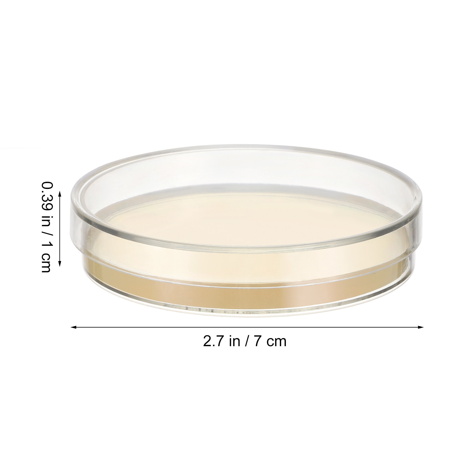 10pcs Pre-filled Agar Plates P - Agar Tissue Culture reseña y precio