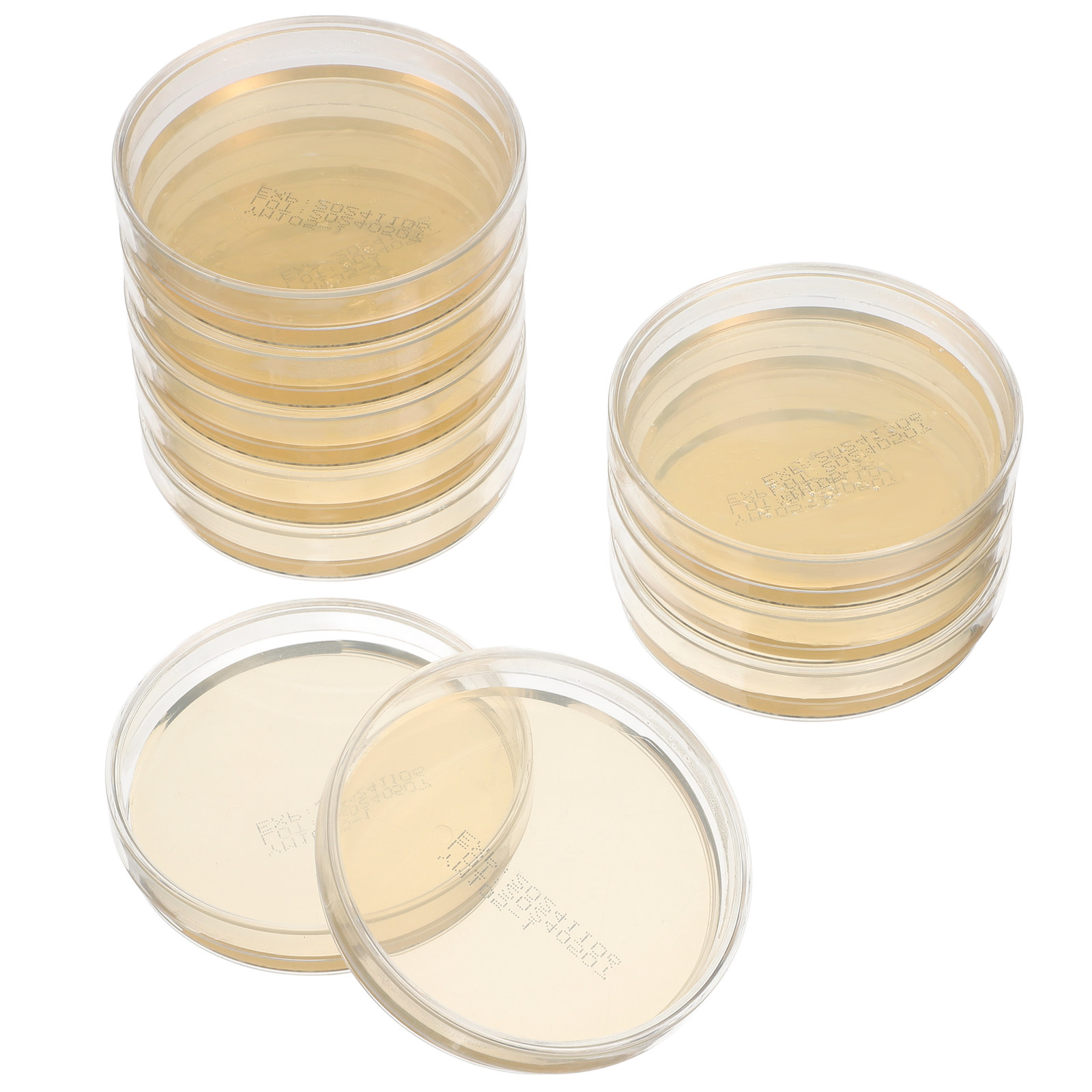 10pcs Pre-filled Agar Plates P - Agar Tissue Culture reseña y precio