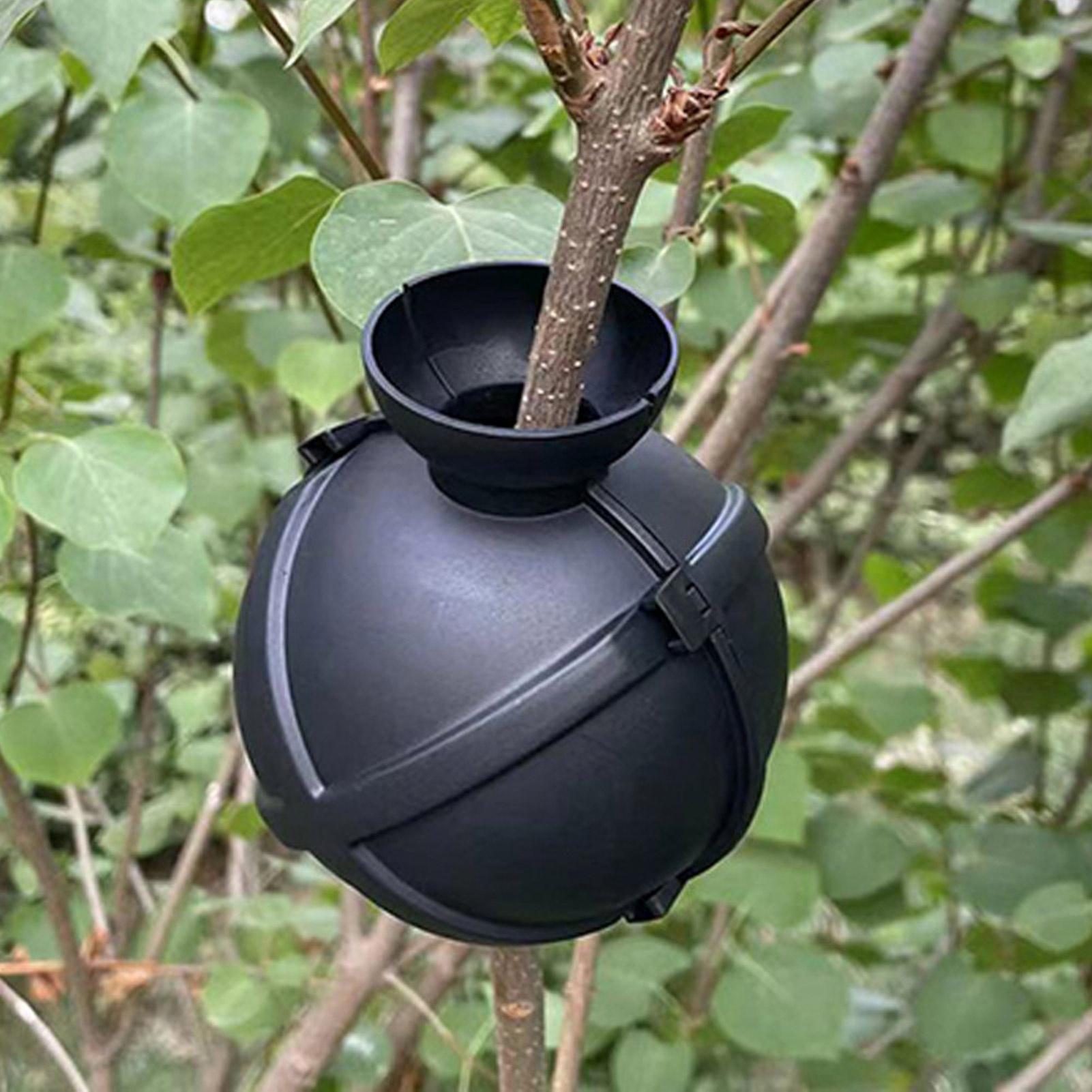 Garden Orchard Plants Grafting - Rooting Gel Clone reseña y precio