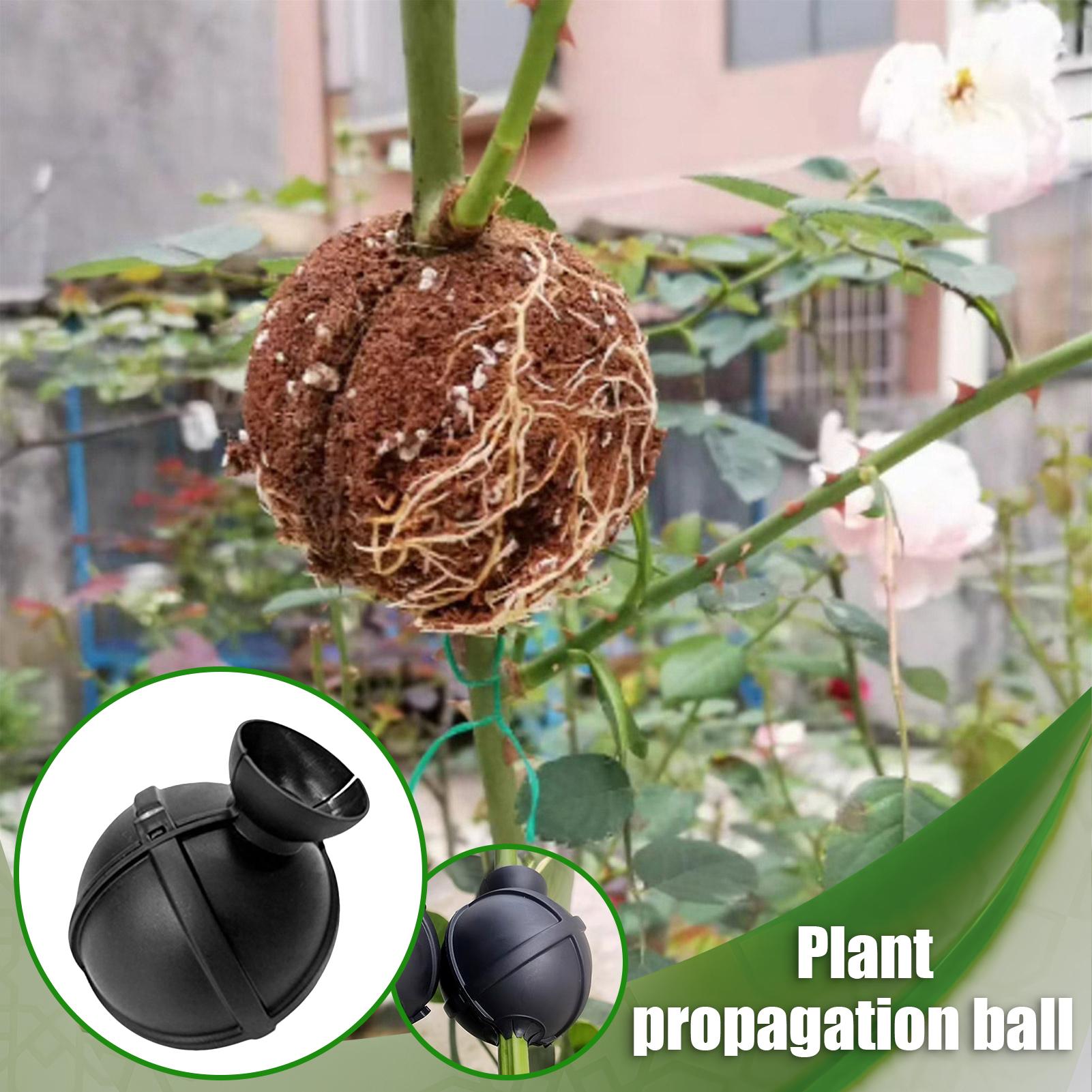 Garden Orchard Plants Grafting - Rooting Gel Clone reseña y precio