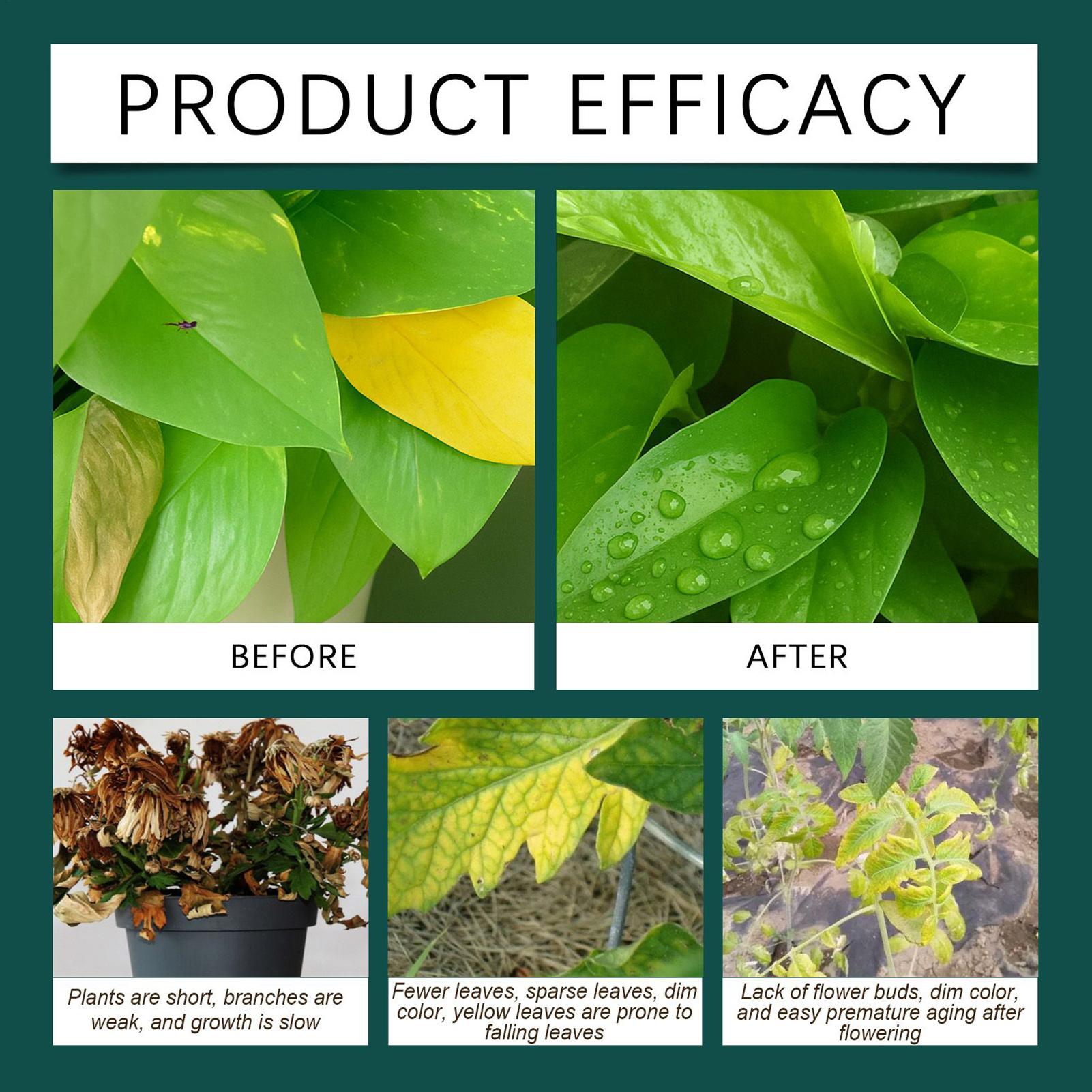 100ml Plant Rooting Liquid Dro - Root Stimulator Liquid reseña y precio